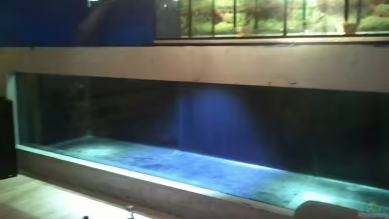 Filterung drauf und die Technik von Pearlray (12)