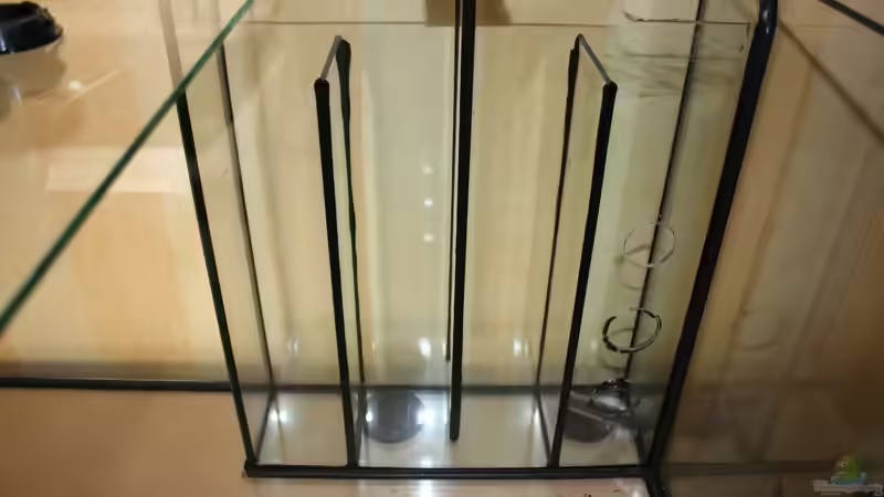 Filterung eines Aquariums