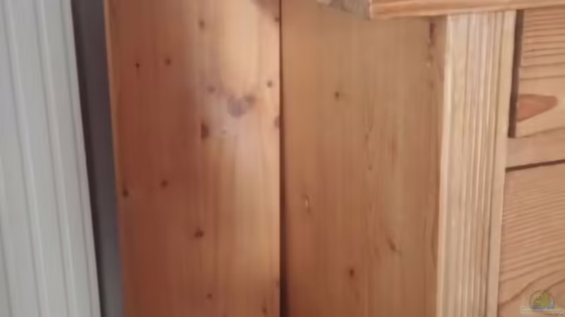 Filterversteck...neben dem Schrank von Miss Kasimir (16)