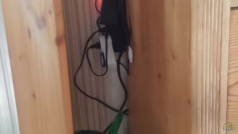 Filterversteck...neben dem Schrank von Miss Kasimir (17)