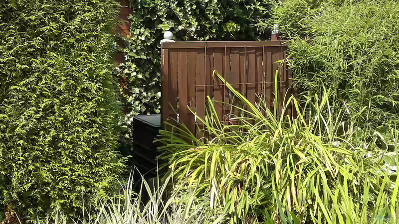 Filterversteck von Sambia (41)