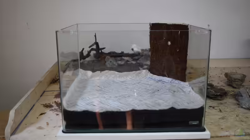 Filtervlies flächig verlegt von Junglist (5)