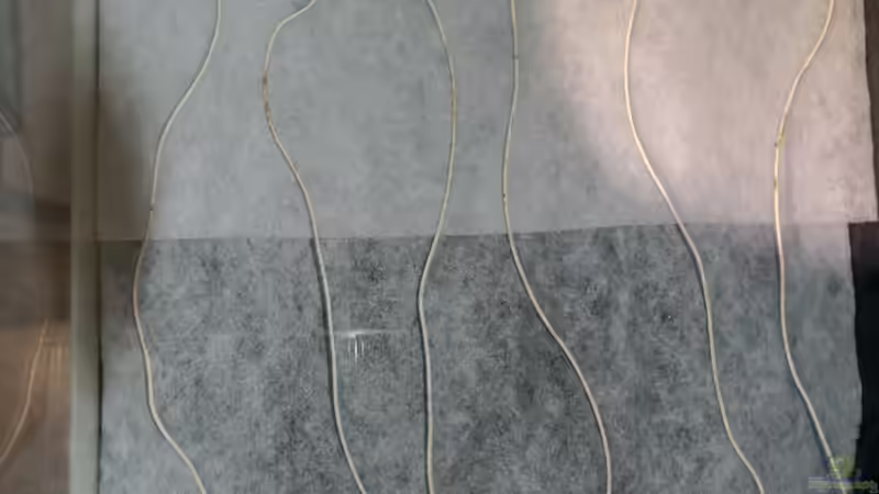 Filtervlies mit Heizung auf den Gitter Matten von Betta Chris (4)