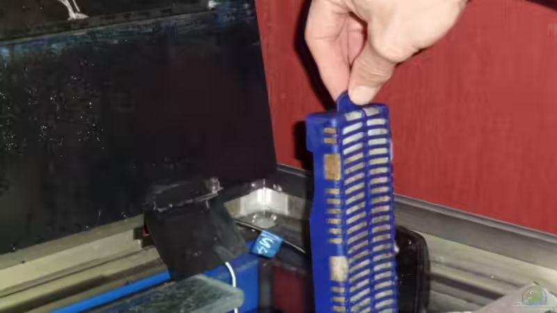 Filterwechsel leicht gemacht von Couro (41)