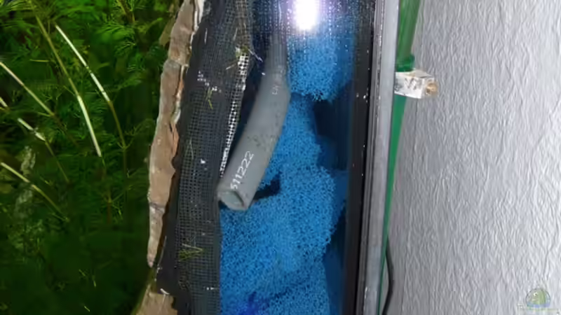 Filterwürfel hinter der Rückwand und Tauchpumpenauslauf von Zewana (16)