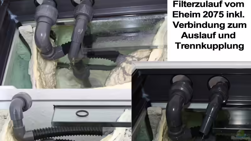 Filterzulauf Eheim 2075 im BTN Modul T von NicoD (17)