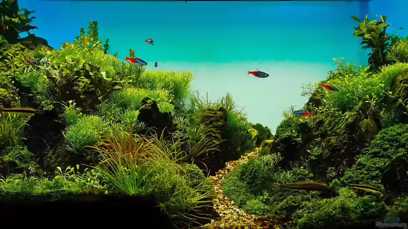 Final Shot von Scaper (4)