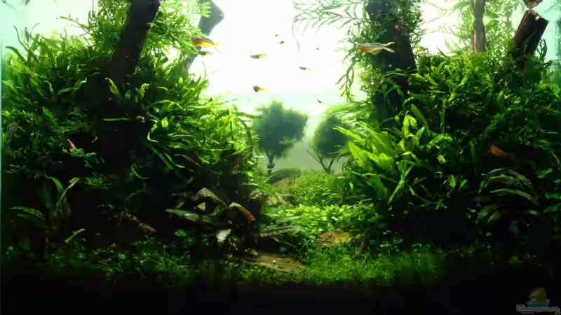 Finalshot September 2011