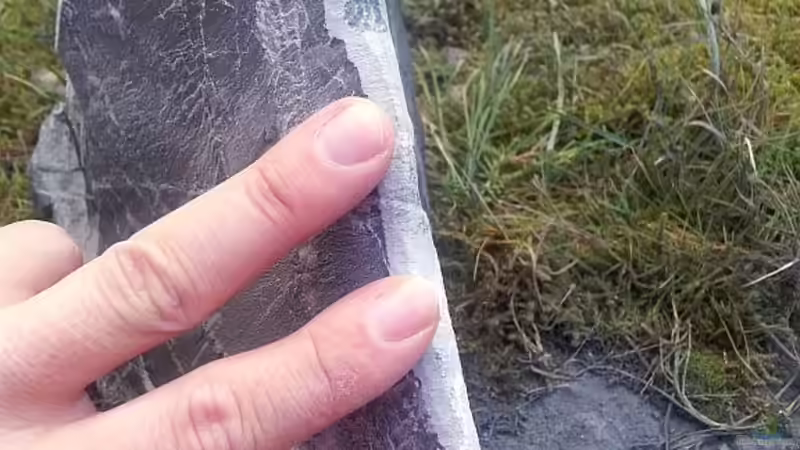 Fingertest i.O. von DaKo77 (19)