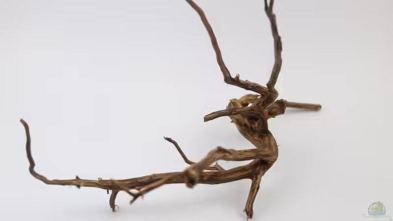 Fingerwood - Rote Moorwurzel von Aquarienlandschaften (18)