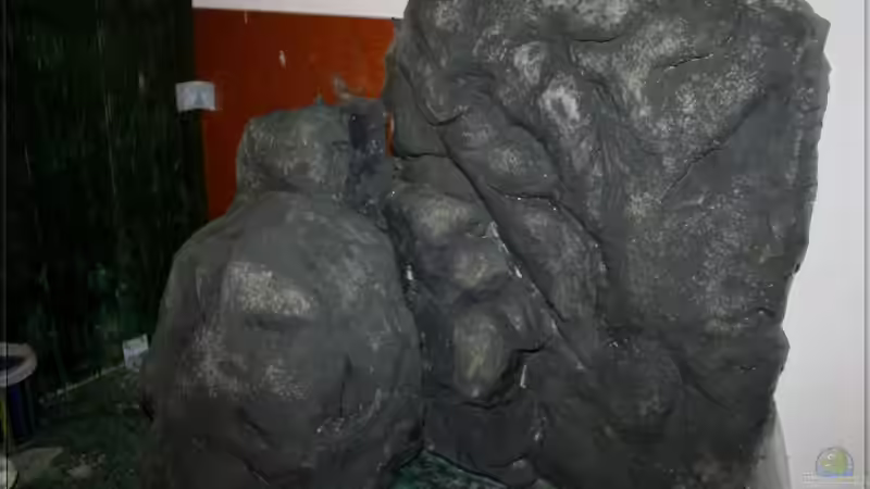 Finish mit dem Edelstahl-Schwamm von Pütti (9)