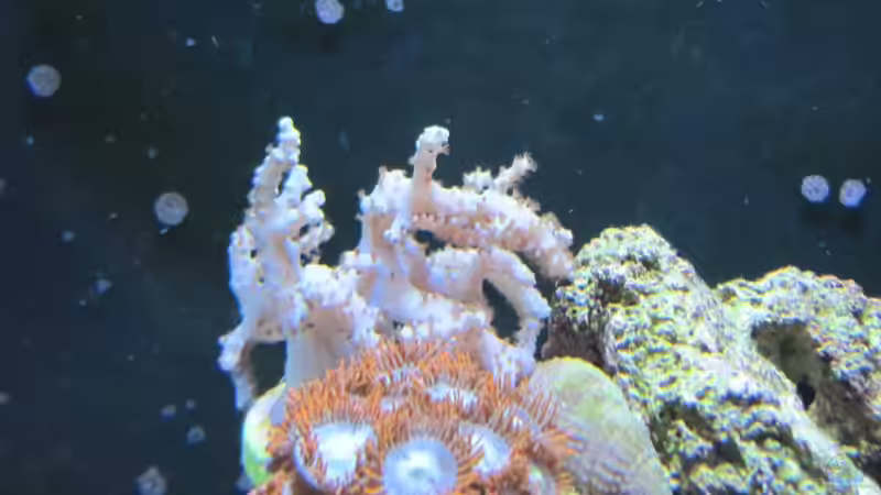 Fire & Ice von Haens84 (42)