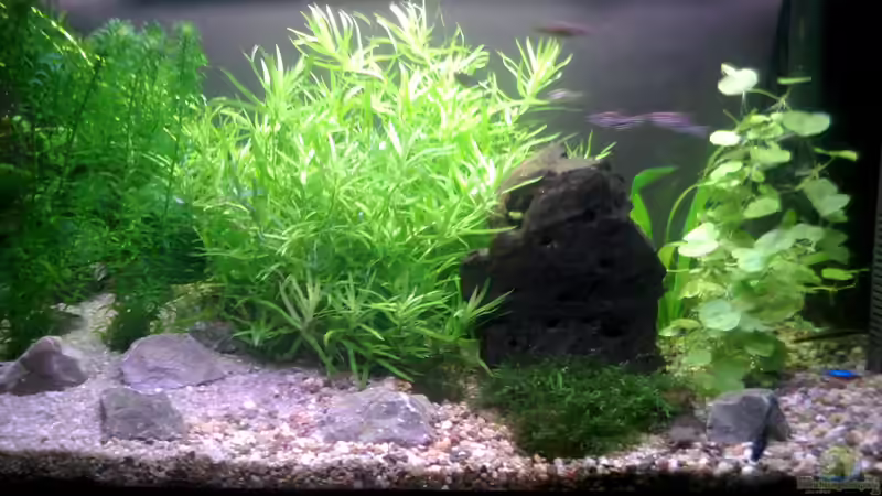 First Dry von Vipi90 (1)