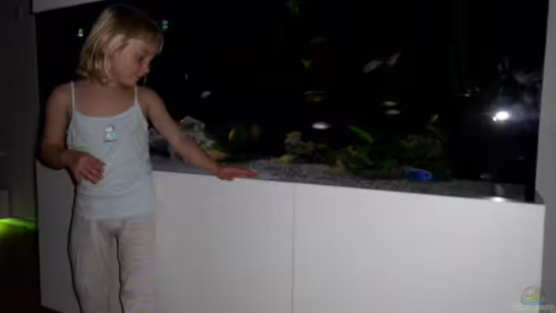 Fisch- TV von Markus Fressner (3)