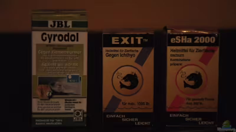 Fischapotheke von Florian Bandhauer (22)