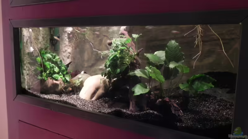 (Fische sind Futter) von Miguel (2)