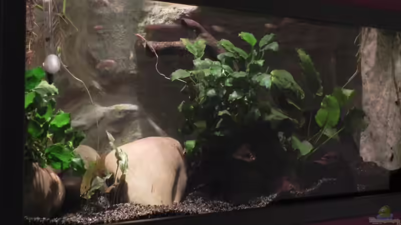 (Fische sind Futter) von Miguel (3)