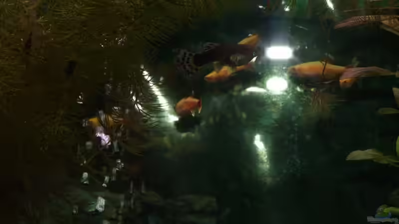 fischen von Jarno Wilens (12)