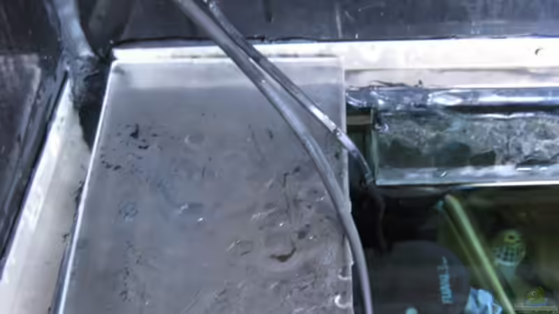 Fischschutz gegen hineinspringen (Schachtabdeckung) von Oeli (15)