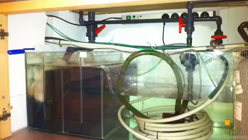 Fiterbecken von Benjamin Daum (11)