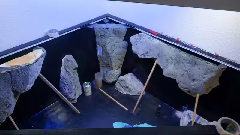 Fixierung der BtN Module von tattooindi (19)