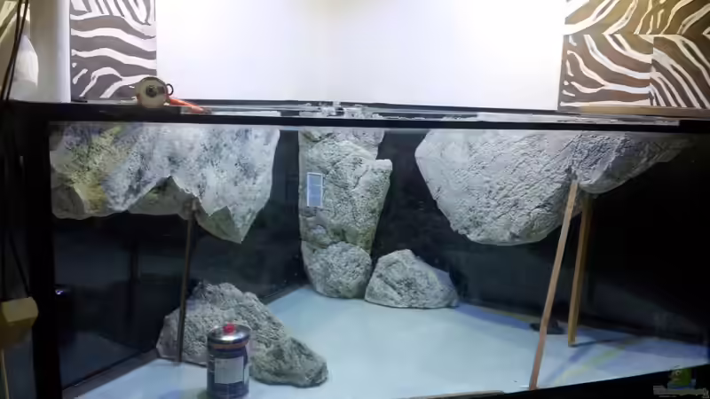 fixierung der Module von tattooindi (16)