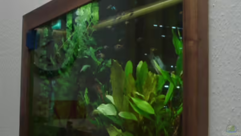 Flach Feb 2008 von Zwanni (3)