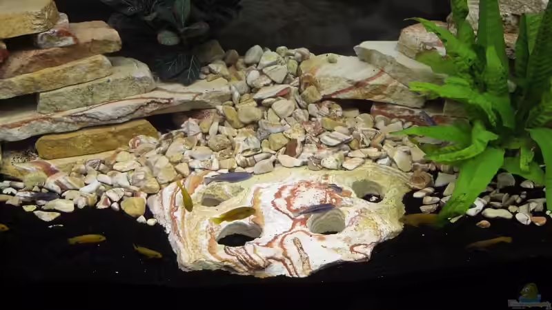 Flach gelegter Regenbogenstein mit 4 Löcher von Ralph Schulz (4)