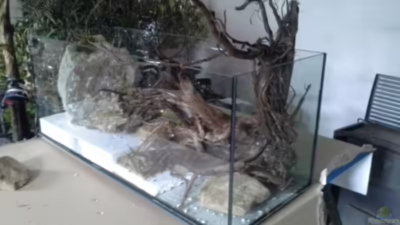 Flache Steine folgen. von Markaroni (48)