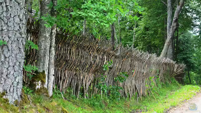 Flechtzaun - Natürlicher Sichtschutz mit Tradition und moderner Gartenästhetik
