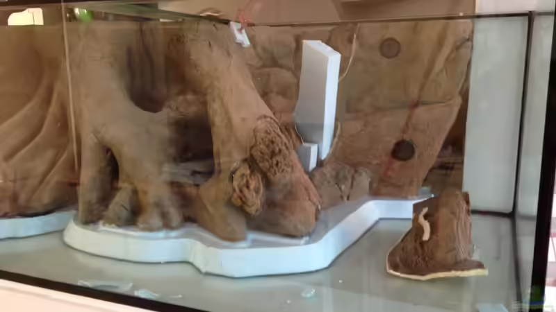 Flex, Säge und wieder Silikon! von Tooooni (5)