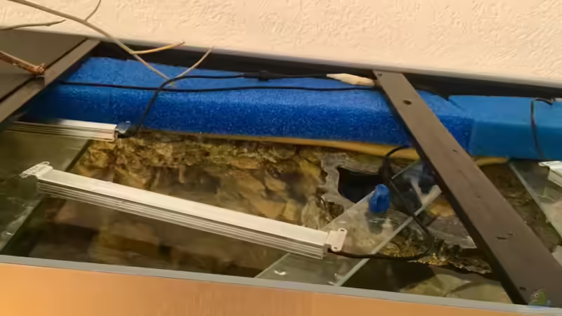 flexible Positionierbarkeit der Led-Balken von Steffi66 (34)