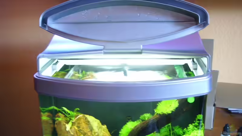 Flip-Flop Deckel vorderer Teil offen von Maggus (5)