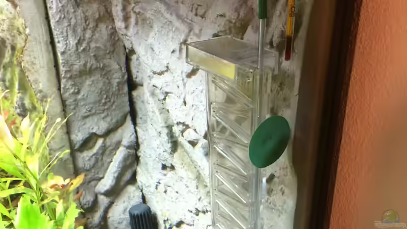 Flipper, CO2-Indikator, Thermometer, Temperatursensor von Fliegerle (7)