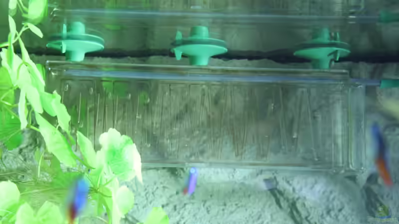 Flipper co2 Anlage von Dennerle von spektukal (20)