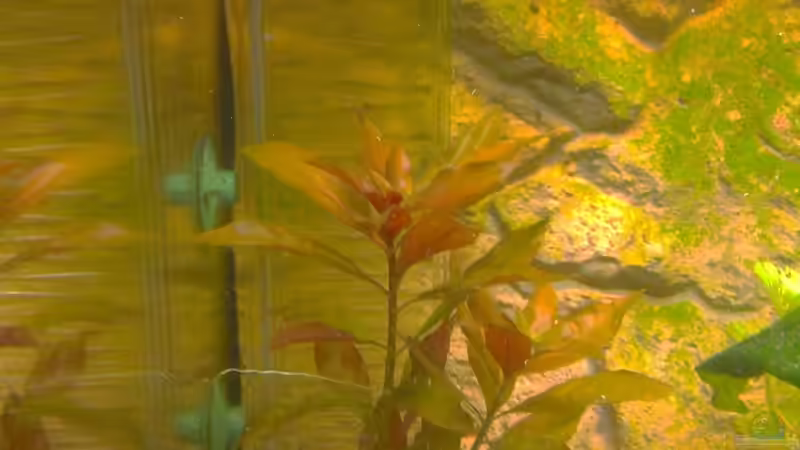 Flipper der Co2 Pumpe von bo3 (8)