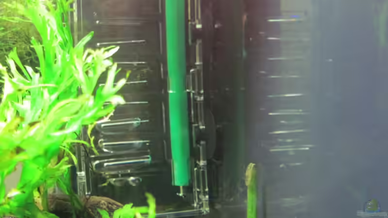 Flipper für Bio CO2 von Opodeldok (31)