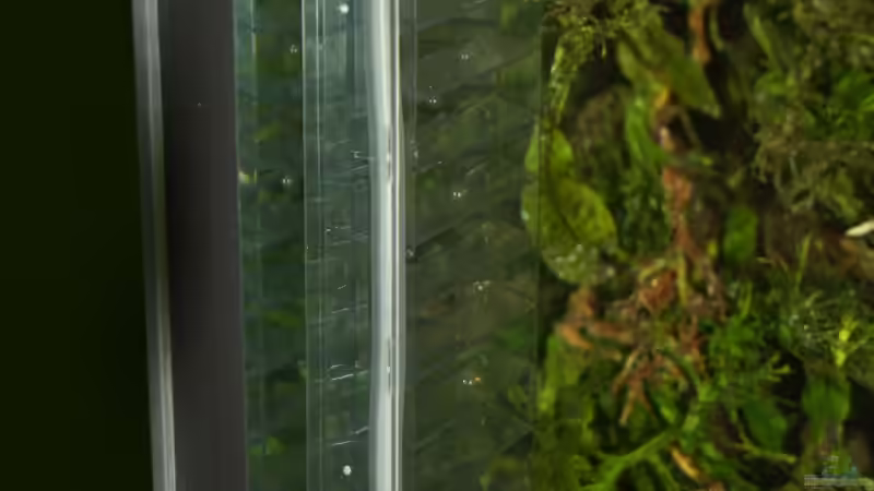 Flipper von aquamike (16)