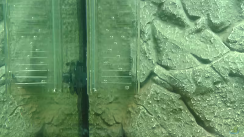 Flipper von Deoroller (45)