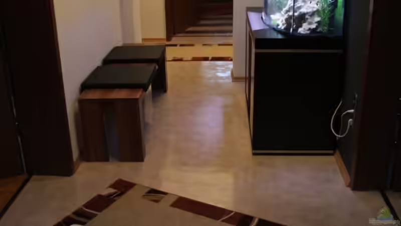 Flur_01 von Nicki83 (6)