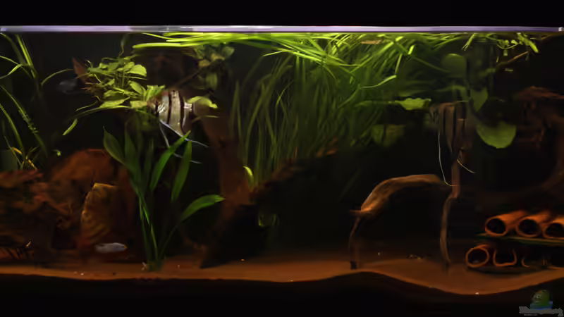 Flussbecken von Teh_D (1)