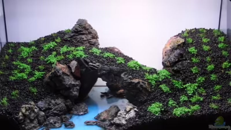 Flusslauf von Microsash (3)