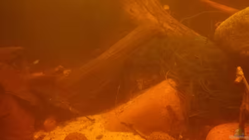 Flusssteine, kleine Holzstücke von Daniel Krmr (9)