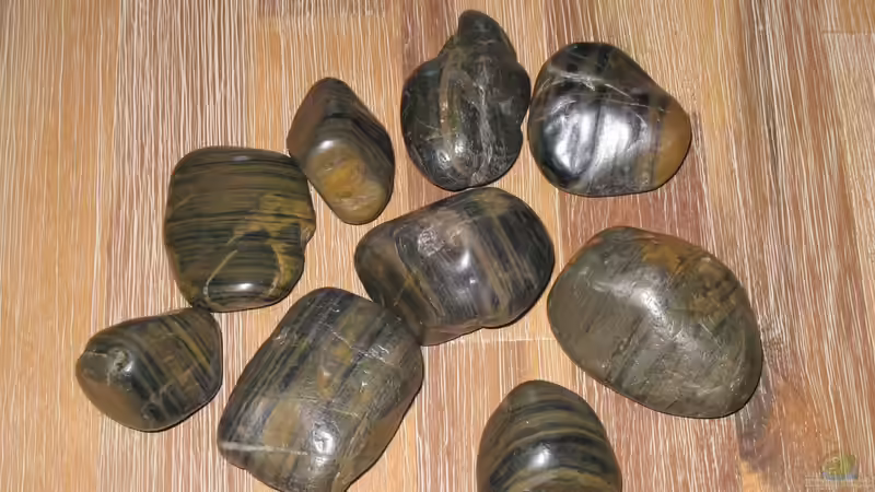 Flußsteine von Jemafa (42)