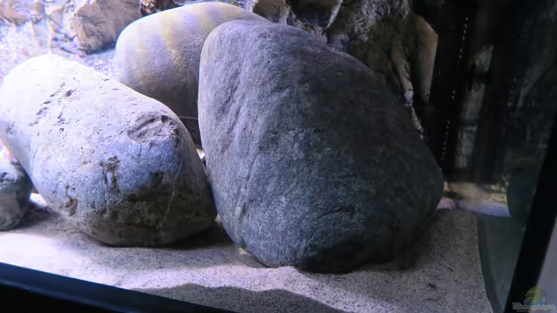 Flusssteine von Lynex (7)