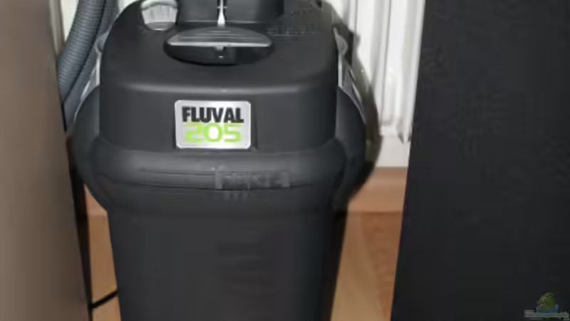 Fluval 205 von Malawifreak (24)