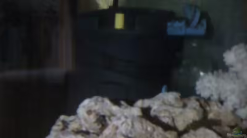 Fluval 2Plus von Harald Ollenburg (8)