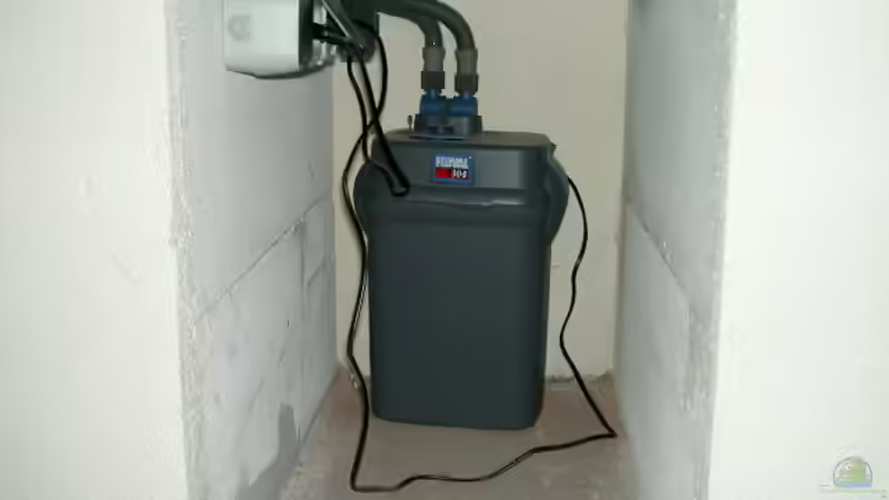 Fluval 304 von Thorsten Peetz (9)