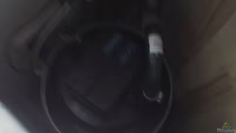 Fluval 403 Aussenfilter von FischfanAQ (11)