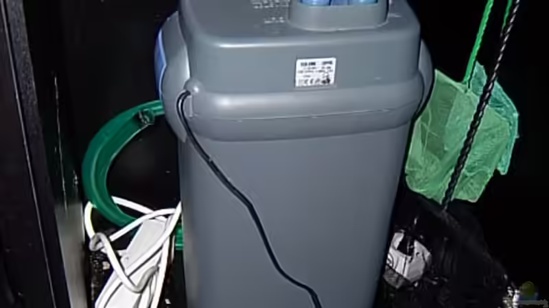 Fluval 404 von Bianka Merschbrock (5)